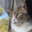 arrogantrabbit.pages.dev favicon